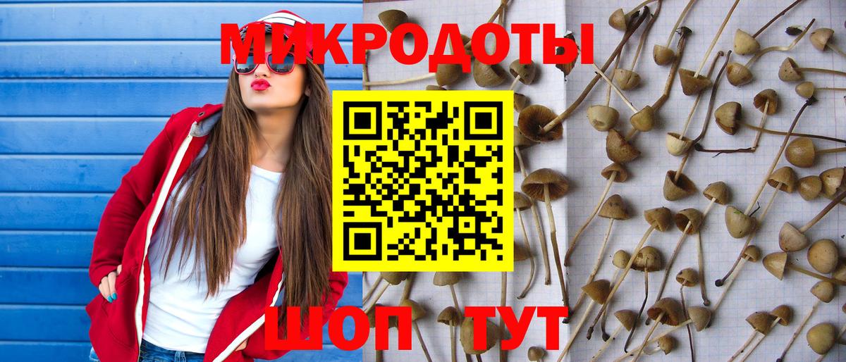 Псилоцибиновые грибы мицелий Москва