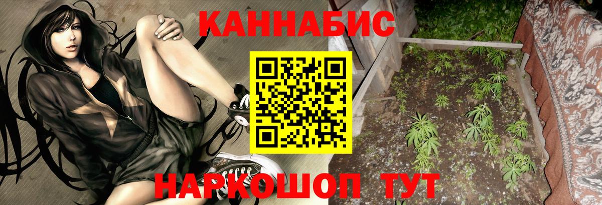 МАРИХУАНА план  Канабис SATIVA & INDICA  Шишки марихуана планчик  Вход с VPN  Каннабис SATIVA & INDICA  Москва 